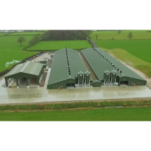 Prefabricated Broiler and Chicken Breeding House Poultry Farm Shed Design